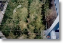 work-way decking60.jpg